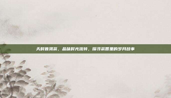 天时普洱茶，品味时光流转，探寻茶香里的岁月故事