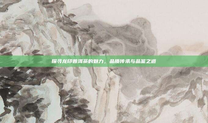 探寻龙印普洱茶的魅力，品质传承与品鉴之道