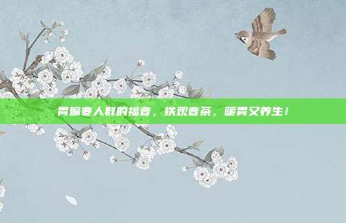 胃偏寒人群的福音，铁观音茶，暖胃又养生！