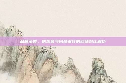 品味茶香，铁观音与白毫银针的韵味对比解析