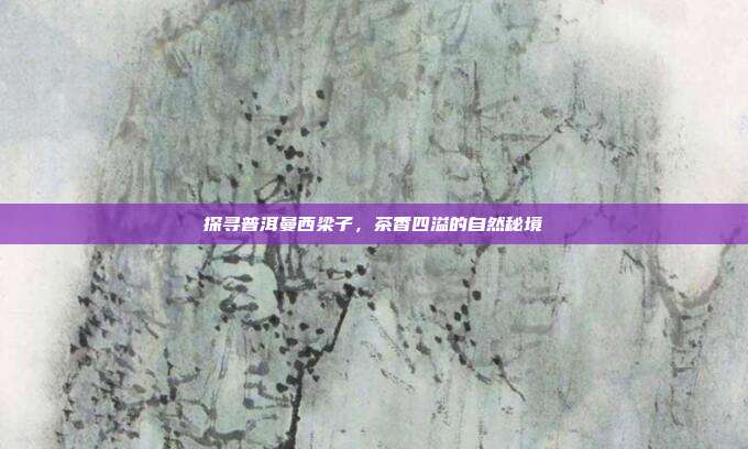 探寻普洱曼西梁子，茶香四溢的自然秘境