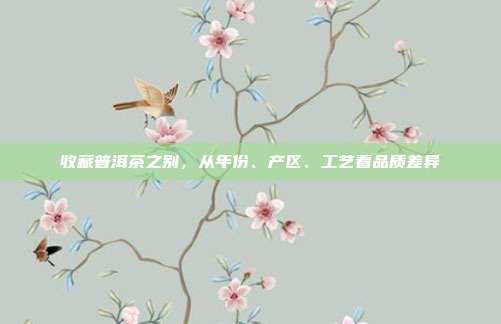 收藏普洱茶之别，从年份、产区、工艺看品质差异