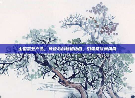 山国茶艺产品，传统与创新相结合，引领茶饮新风尚
