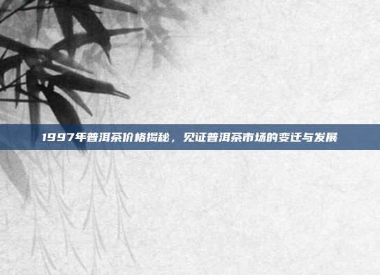 1997年普洱茶价格揭秘，见证普洱茶市场的变迁与发展