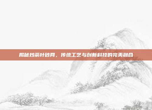 揭秘炒茶叶砂网，传统工艺与创新科技的完美融合
