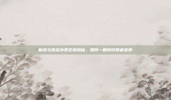 新茶与陈茶外表区别揭秘，如何一眼辨识两者差异