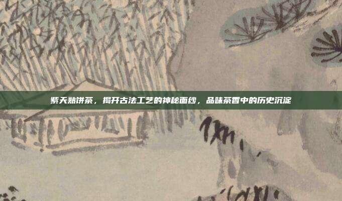 紫天熟饼茶，揭开古法工艺的神秘面纱，品味茶香中的历史沉淀