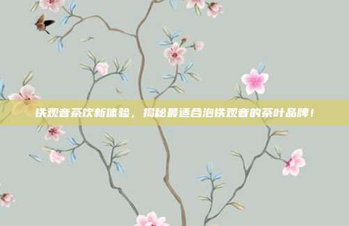 铁观音茶饮新体验，揭秘最适合泡铁观音的茶叶品牌！