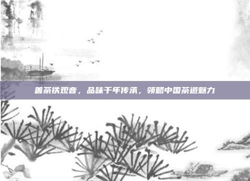 善茶铁观音，品味千年传承，领略中国茶道魅力