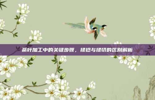 茶叶加工中的关键步骤，揉捻与揉切的区别解析