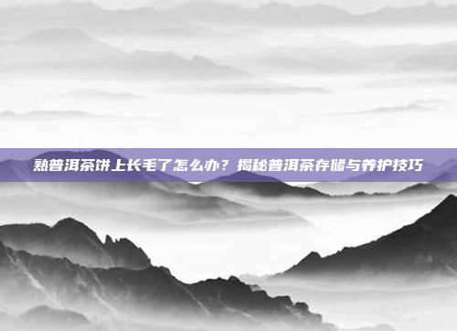 熟普洱茶饼上长毛了怎么办？揭秘普洱茶存储与养护技巧