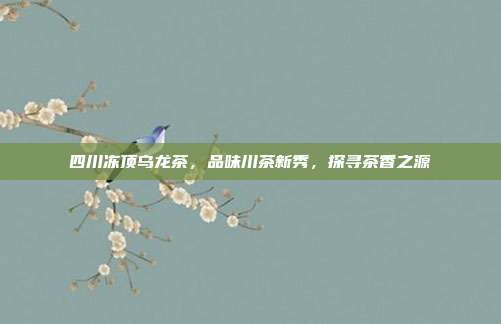 四川冻顶乌龙茶，品味川茶新秀，探寻茶香之源