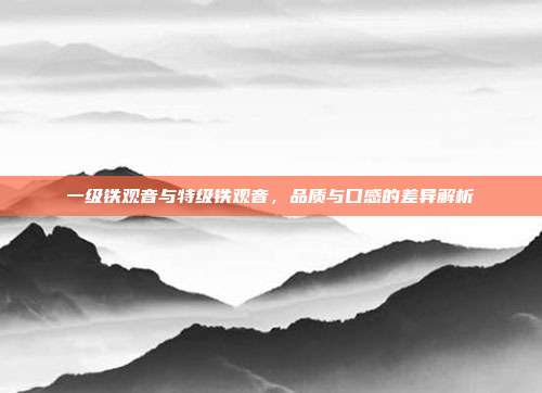 一级铁观音与特级铁观音，品质与口感的差异解析