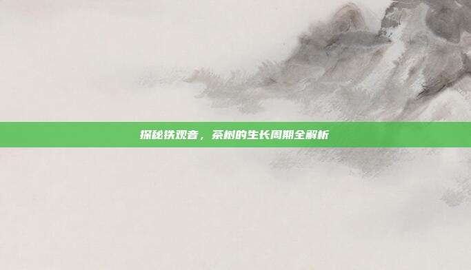 探秘铁观音，茶树的生长周期全解析