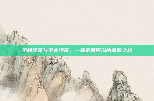 毛峰绿茶与毛尖绿茶，一场茶香四溢的品鉴之旅