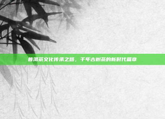 普洱茶文化传承之路，千年古树茶的新时代篇章