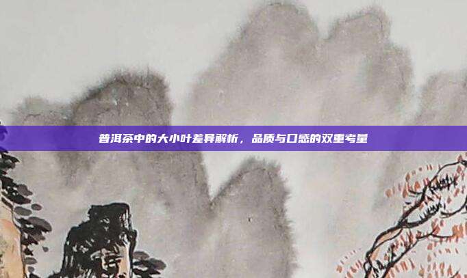 普洱茶中的大小叶差异解析，品质与口感的双重考量