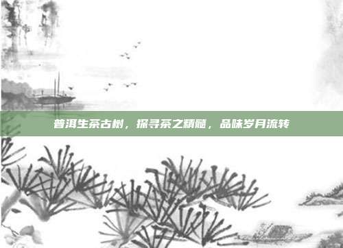普洱生茶古树，探寻茶之精髓，品味岁月流转