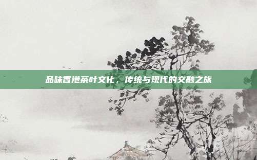 品味香港茶叶文化，传统与现代的交融之旅