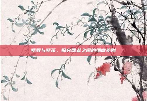 紫芽与紫茶，探究两者之间的细微差别