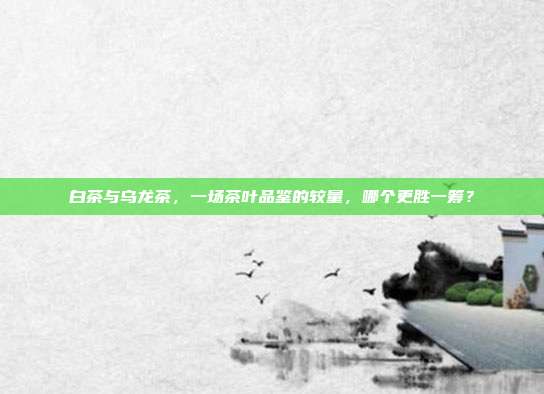 白茶与乌龙茶，一场茶叶品鉴的较量，哪个更胜一筹？