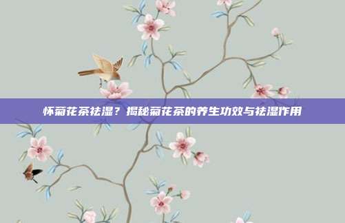 怀菊花茶祛湿？揭秘菊花茶的养生功效与祛湿作用