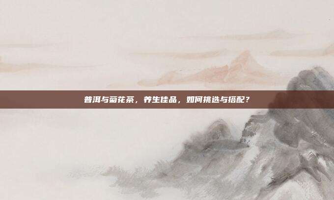 普洱与菊花茶，养生佳品，如何挑选与搭配？