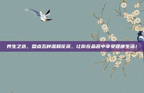 养生之选，盘点五种温和花茶，让你在品茗中享受健康生活！