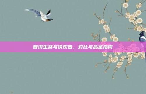 普洱生茶与铁观音，对比与品鉴指南