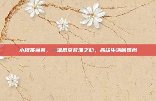 小罐茶熟普，一罐尽享普洱之韵，品味生活新风尚