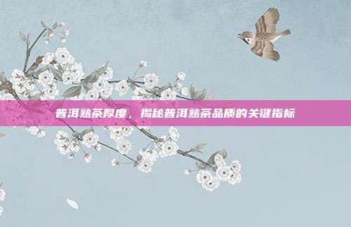 普洱熟茶厚度，揭秘普洱熟茶品质的关键指标