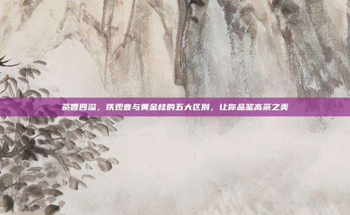 茶香四溢，铁观音与黄金桂的五大区别，让你品鉴高茶之美