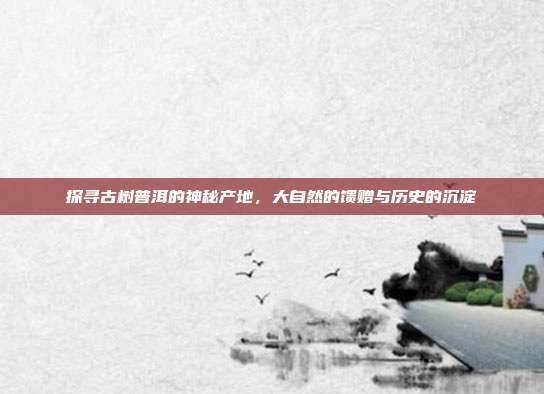 探寻古树普洱的神秘产地，大自然的馈赠与历史的沉淀