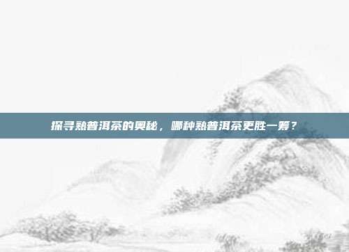 探寻熟普洱茶的奥秘，哪种熟普洱茶更胜一筹？