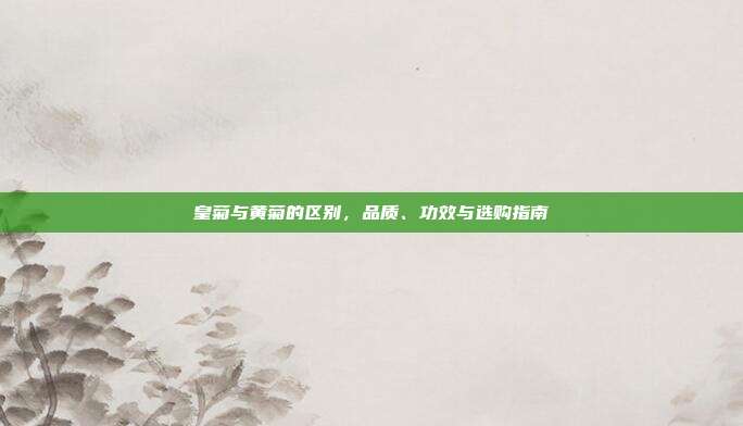 皇菊与黄菊的区别，品质、功效与选购指南