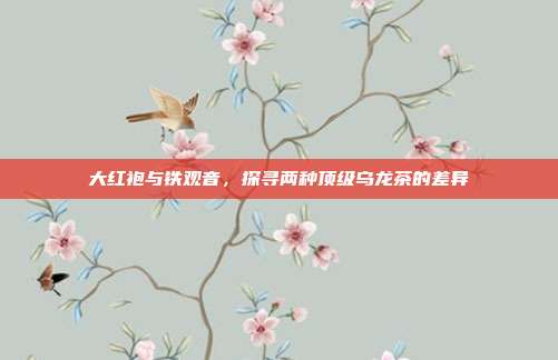 大红袍与铁观音，探寻两种顶级乌龙茶的差异