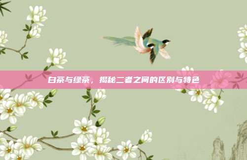 白茶与绿茶，揭秘二者之间的区别与特色