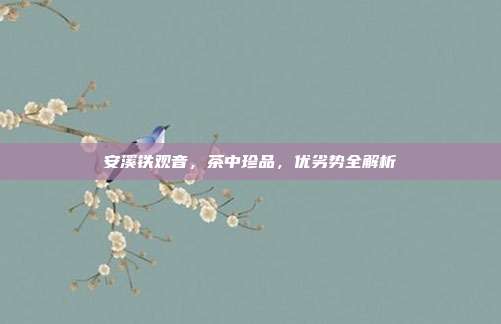 安溪铁观音，茶中珍品，优劣势全解析