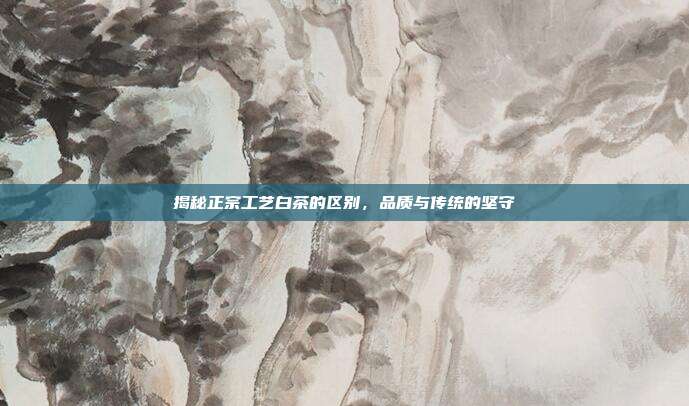 揭秘正宗工艺白茶的区别，品质与传统的坚守