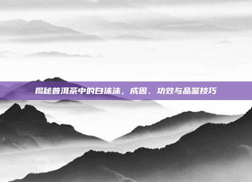 揭秘普洱茶中的白沫沫，成因、功效与品鉴技巧