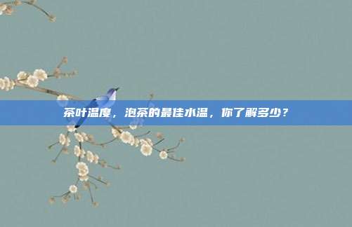 茶叶温度，泡茶的最佳水温，你了解多少？