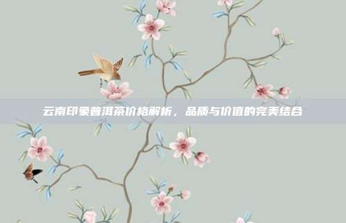 云南印象普洱茶价格解析，品质与价值的完美结合