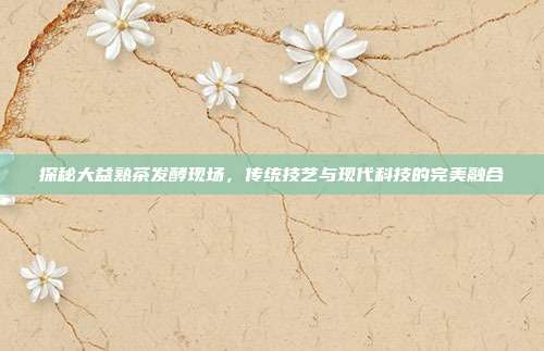 探秘大益熟茶发酵现场，传统技艺与现代科技的完美融合