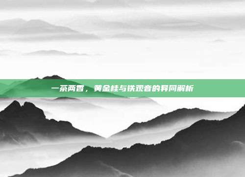 一茶两香，黄金桂与铁观音的异同解析