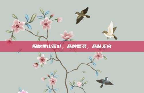 探秘黄山茶叶，品种繁多，品味无穷