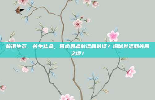 普洱生茶，养生佳品，胃病患者的温和选择？揭秘其温和养胃之谜！