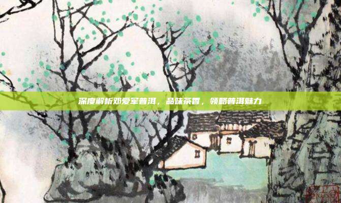 深度解析邓爱军普洱，品味茶香，领略普洱魅力
