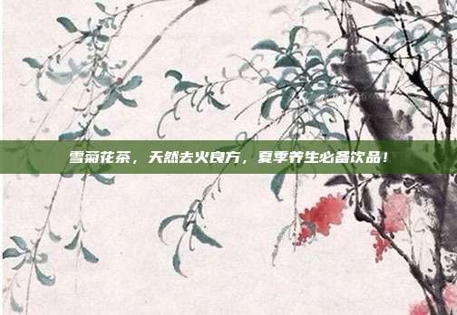 雪菊花茶，天然去火良方，夏季养生必备饮品！