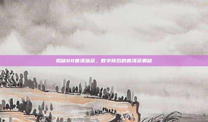 揭秘88普洱熟茶，数字背后的普洱茶奥秘