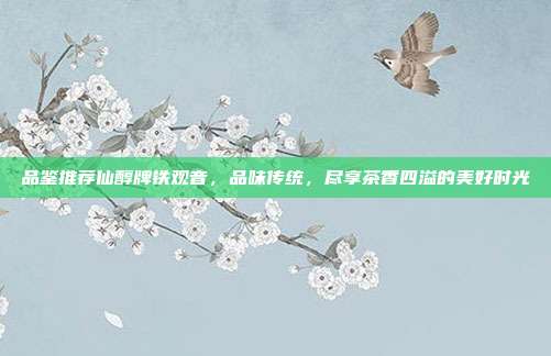 品鉴推荐仙醇牌铁观音，品味传统，尽享茶香四溢的美好时光